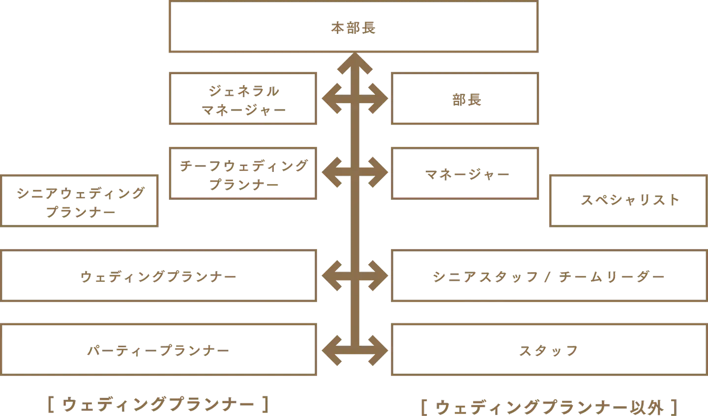 NOVICのキャリアパス図。ウェディングプランナー系統（本部長、ジェネラルマネージャー、チーフウェディングプランナー、シニアウェディングプランナー、ウェディングプランナー、パーティープランナー）とウェディングプランナー以外の系統（部長、マネージャー、スペシャリスト、シニアスタッフ/チームリーダー、スタッフ）の昇格ルートを示した図。
