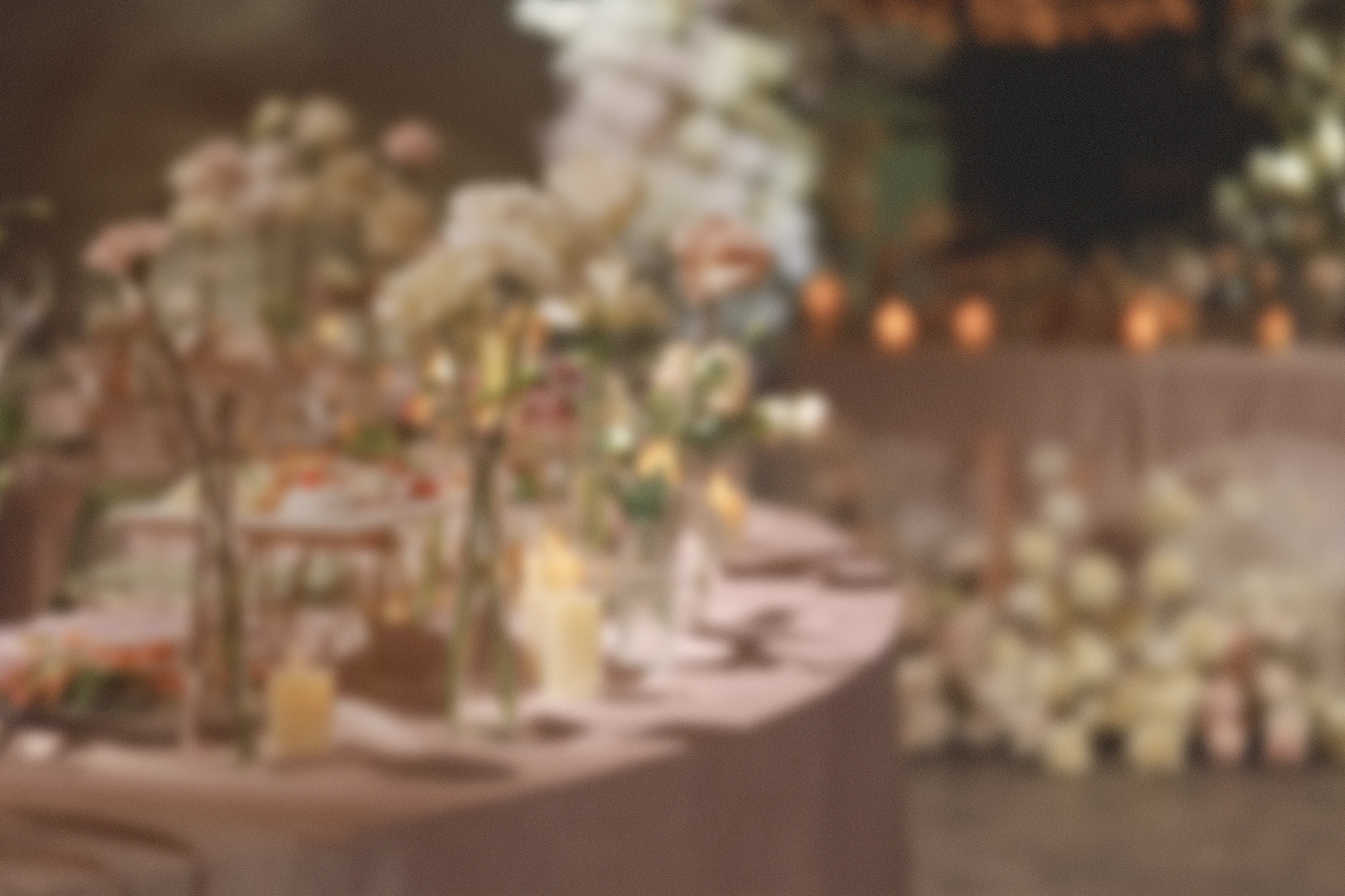 花が並んでいる写真